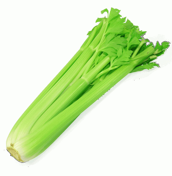 Value Center Market  celery stalk Full-Size Picture